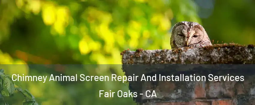  Chimney Animal Screen Repair And Installation Services Fair Oaks - CA