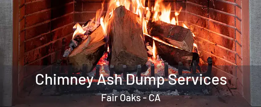  Chimney Ash Dump Services Fair Oaks - CA