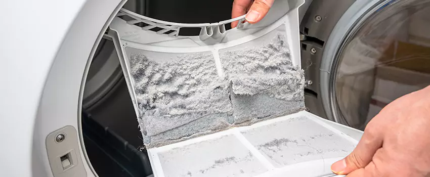 Best Dryer Lint Removal Company in Fair Oaks, California