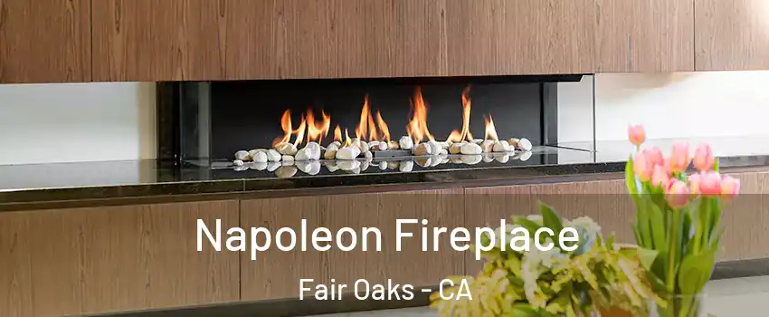  Napoleon Fireplace Fair Oaks - CA